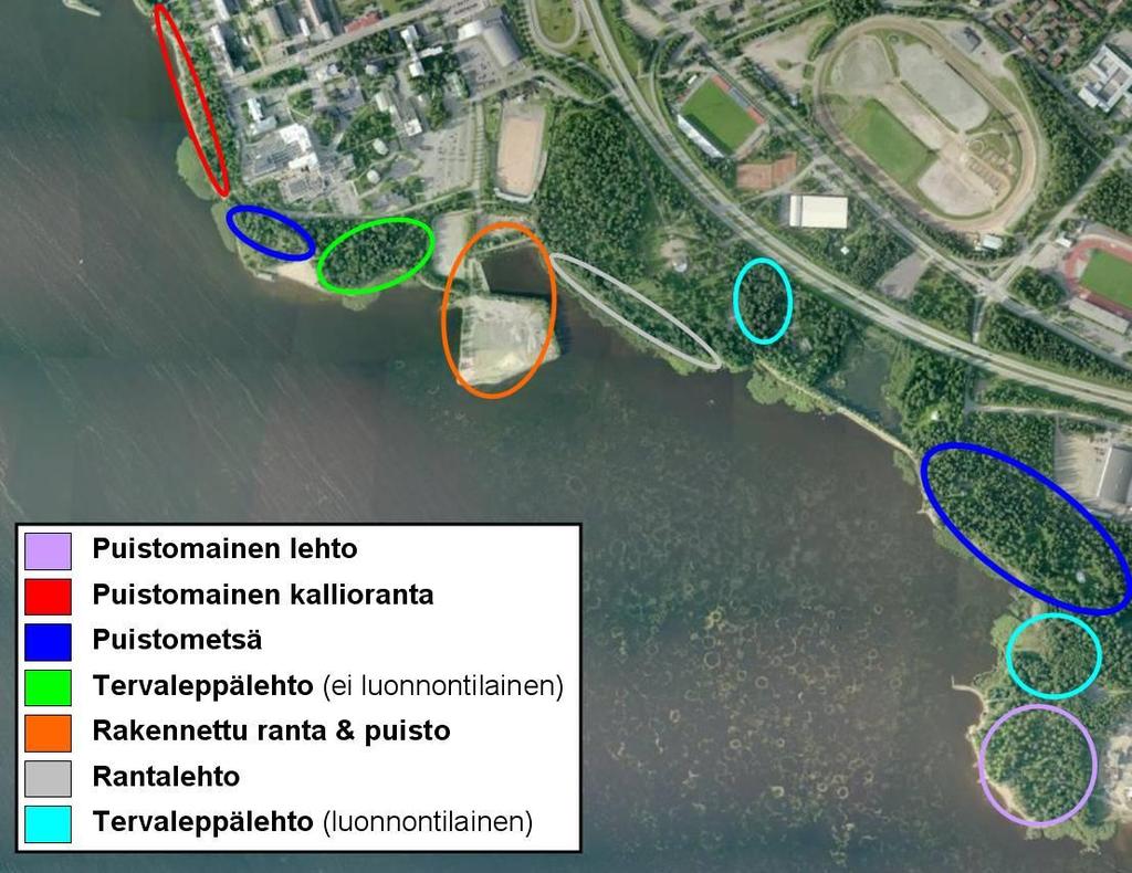14 2.2 Rantatyypit Rantatyypeillä (kuva 6) tarkoitetaan ranta-alueiden eri luontotyyppejä. Tyypitykset on tehty tässä työssä karkeasti kasvillisuuden ja niiden luonnontilaisuuden mukaan. Kuva 6.