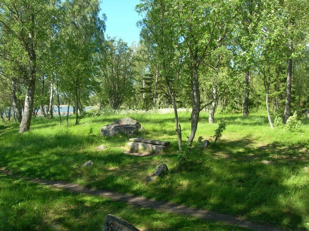 16 nykyisen kaltaisina, vaatii se tiettyjä hoitotoimenpiteitä. Havupuut, kuten kuusi valtaa luonnollisen kehityksen mukaisesti hiljalleen lehtoja ellei niitä karsita tulevaisuudessa.