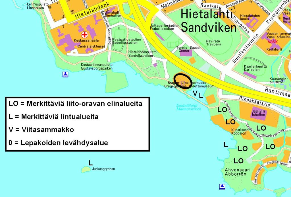 19 hoitoluokkien rantojen ruovikoiden hoitotoimenpiteet tulee harkita aina tapauskohtaisesti. 2.