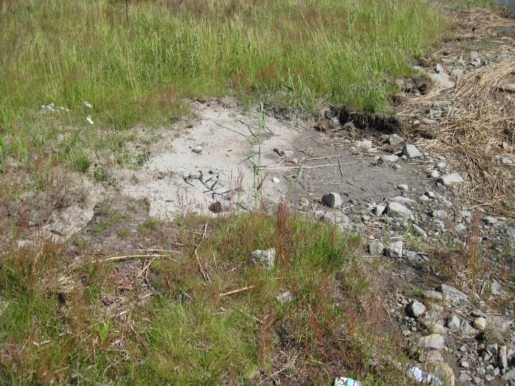 82 Ruoppaus ja läjitys muuttavat paikallisesti biodiversiteettiä. Ruoppauksen ja läjityksen ympäristövaikutuksia arvioitaessa on selvitettävä myös hankkeen vaikutukset luonnon monimuotoisuuteen.