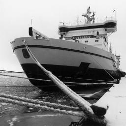 1999 Kilpailu