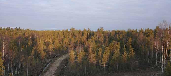 42 Toinen havaintopiste eli kontrollipiste valittiin oletettavasti paremman muuttoreitin varrelta, jossa oli hyvä näkyvyys.