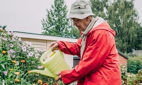 VIVA! taitoa ikääntyvien mielen