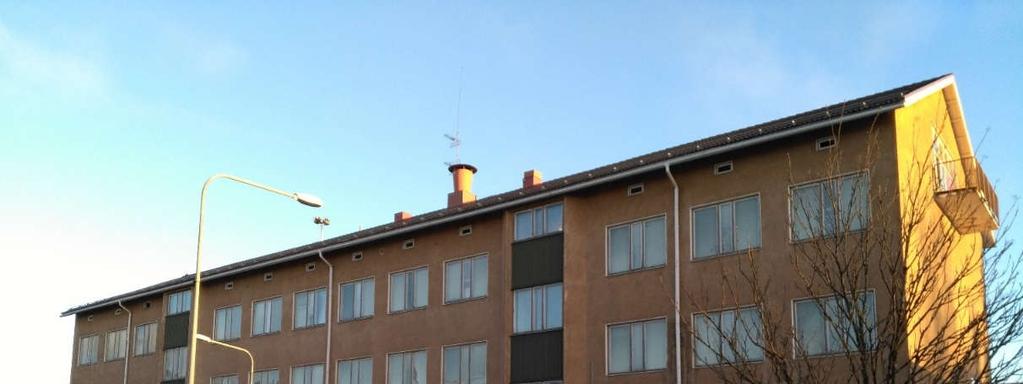 oillisulmassa on pienehö nurmioalue, jossa asvaa muutama puu ja