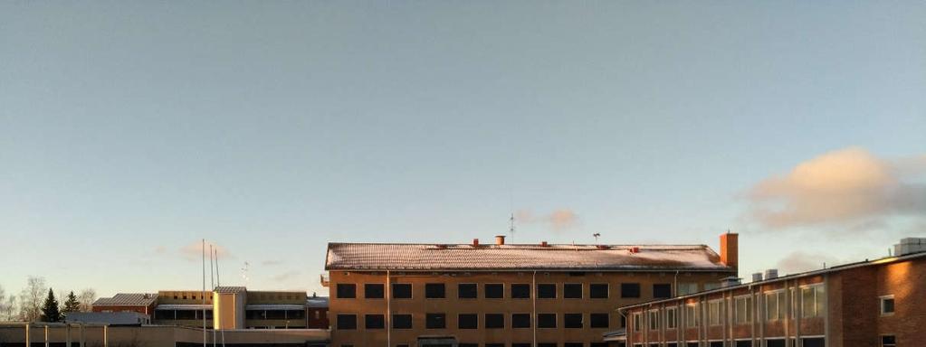(Kuvattu 24.1.217).