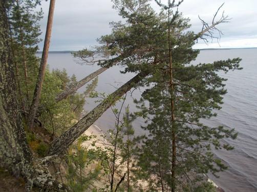 7. Passivoituneen vyörytörmän nuorehkoa boreaalista luonnonmetsää, edustavuusluokka merkittävä. 8. Passivoituneen vyörytörmän boreaalista luonnonmetsää, edustavuusluokka merkittävä. 9.