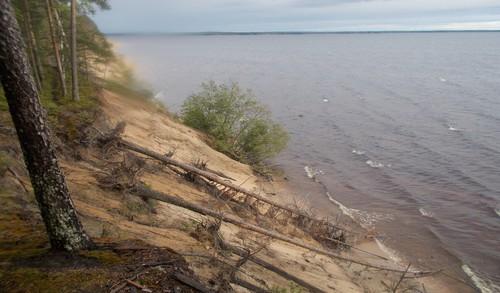Erirakenteinen, tilajakaumaltaan satunnainen puusto.