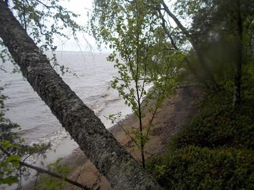 Tilajakaumaltaan satunnainen, erirakenteinen sekapuusto.