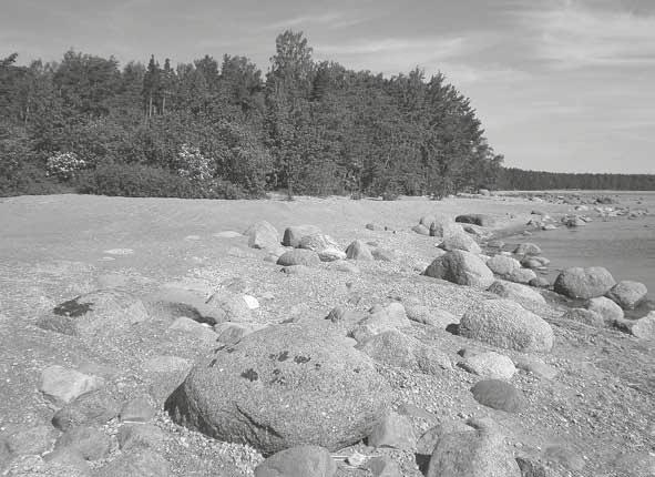 Kyrönniemen rantahietikko leirialueeksi hienon ja luonnonkauniin mäntykankaan, jossa on ollut hyvä harjoitella. Muurila oli se paikka, jossa aselajin tärkein koulutus kesäisin toteutettiin.