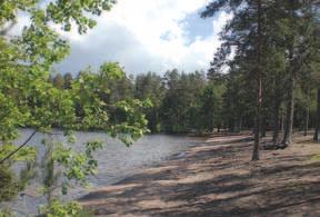 näihin päiviin asti järjestämällä vuosittain ilmatorjuntaleirillä Muurilan muki -kilpailu.