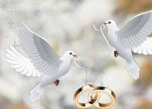 Katka Pejpková zatiaľ púšťa holúbka len po svadobnom obrade, možno sa jej raz pošťastí a vypustí ho aj po pódiovom umiestení na Medzinárodnom maratóne mieru v Košiciach.