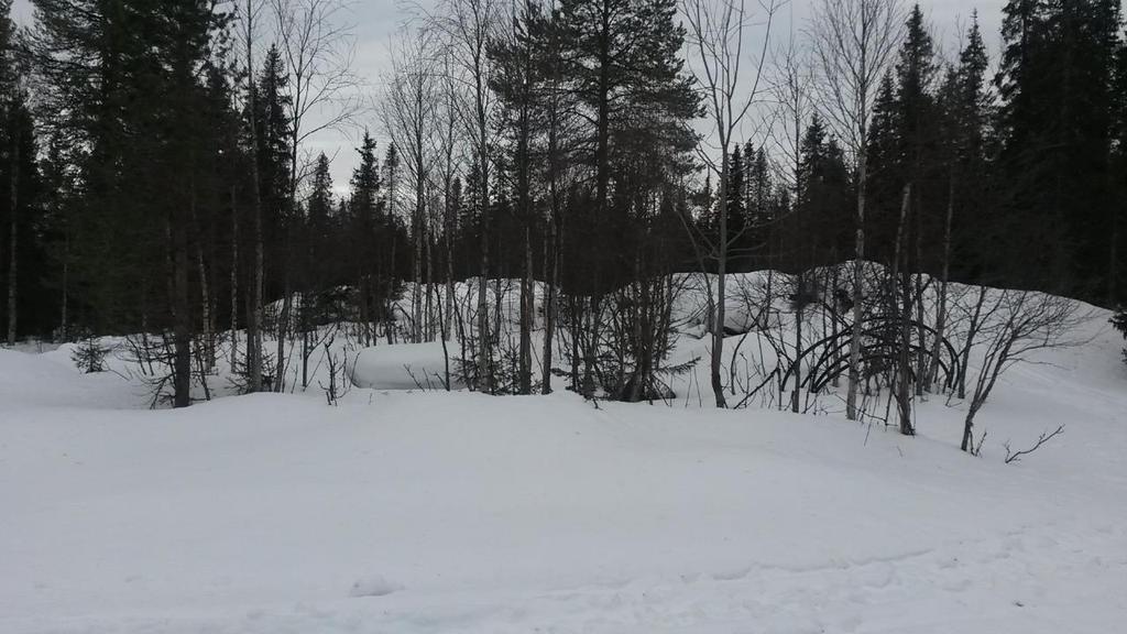 mukaan seuraavankaltainen: Järvi on kirkasvetinen ja ravinteisuudeltaan lievästi rehevä. Klorofyllipitoisuus 7.8 g/l osoittaa lisääntynyttä levätuotantoa.