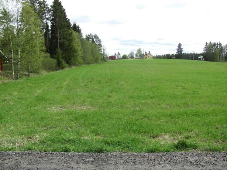 LUONTOARVOJEN TARKISTUS 5 Kuva 3. Kuvio 1 on nurmipeltoa, joka rajautuu puustoiseen reunaan (kuvio 2) pellon ja tonttien välillä (kuvan vas. reuna).