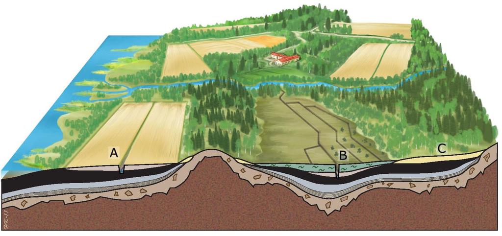 1. Johdanto Happamilla sulfaattimailla tarkoitetaan maaperässä luontaisesti esiintyviä rikkipitoisia sedimenttejä (sulfidisedimenttejä), joissa muodostuu hapettumisen seurauksena rikkihappoa, mikä