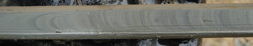 vihertävän sävyinen, liejuinen sedimentti, ilman havaittavaa tummaa/mustaa väriä, saattaa sisältää runsaasti sulfideja.