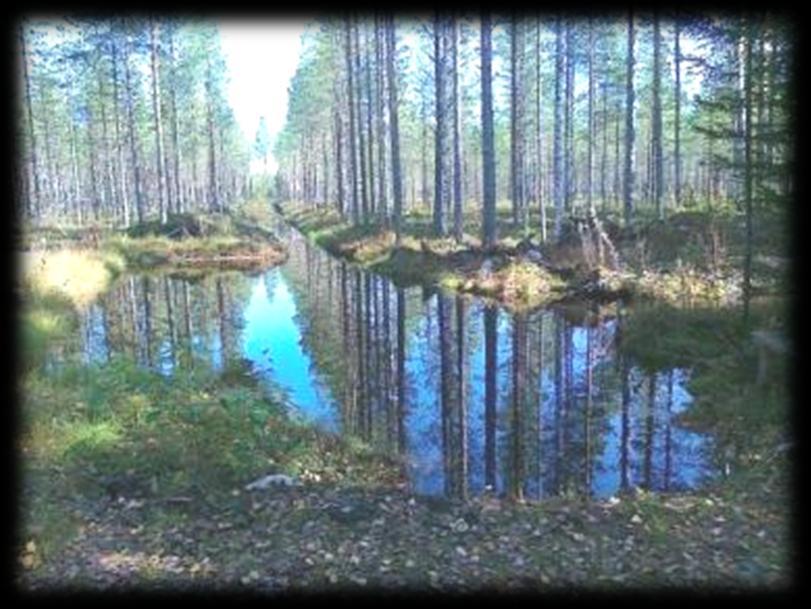 Putkipadolla säädelty laskeutusallas Tulva-aikainen tilanne, jossa padotus ylettyy altaan lisäksi osittain myös yläpuoleiselle ojitusalueelle.