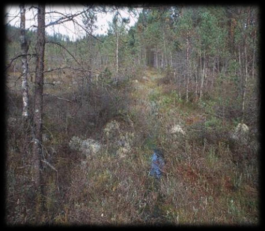 Kohdevalinta Hankkeen sisällä tehtävä Taloudellinen kannattavuus Ojasuunnittelu Eroosioherkkien alueiden selvittäminen Vesiensuojelumenetelmien valinta Puunkorjuun