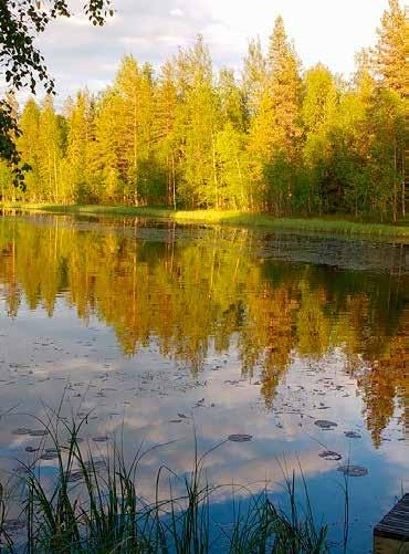 Taivalkosken Sanomat Näköislehti tiistaina. Painettu lehti täysjakeluna torstaina. www.taivalkoskensanomat.fi ILMOITUKSET aineisto@polo.