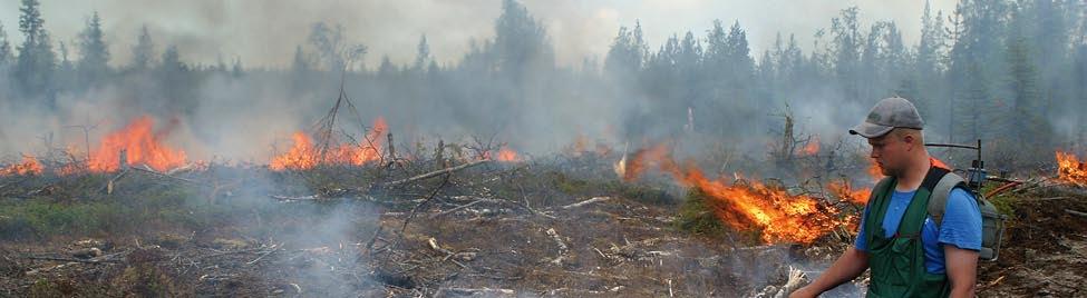 3 Metsien hoito Vuonna 2009 metsänhoito- ja metsänparannustöiden suoritteet vähenivät vuotta aiemmasta, erityisesti metsäteollisuuden ja valtion metsissä.