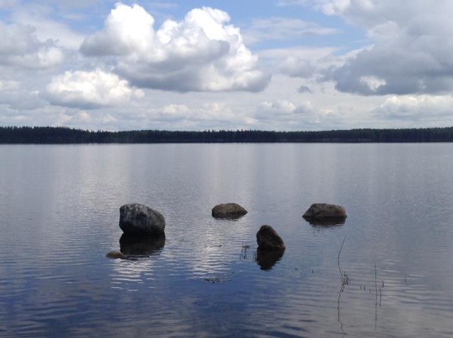 Koulutus- ja psykoterapiapalvelut Aino Maija Rautkallio & Minna Koskinen järjestää yhteistyössä Psykoterapiakeskus Vian kanssa KRIISI- JA