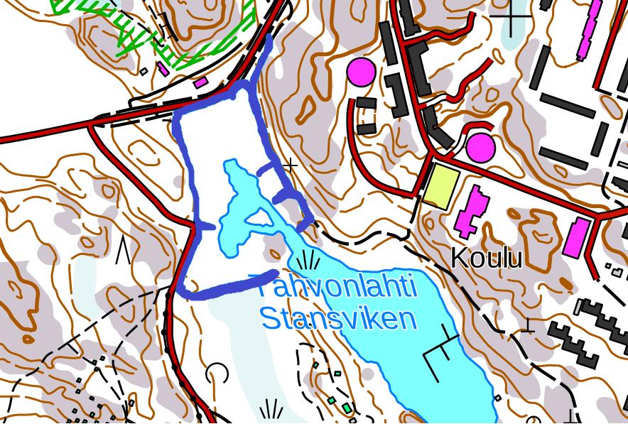 Kartta 2. Viitasammakkokartoituksessa kävellyt reitit (merkitty sinisellä) (Tahvonlahti 2017). 3. Tulokset Kevät 2017 oli viileä ja myöhäinen. Tavallisen sammakon (R.