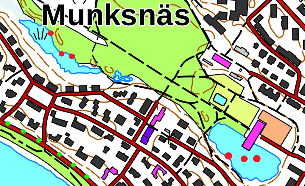 Kartta 3. Viitasammakkohavainnot Munkinpuistossa 5.5.2017 (punaisella).