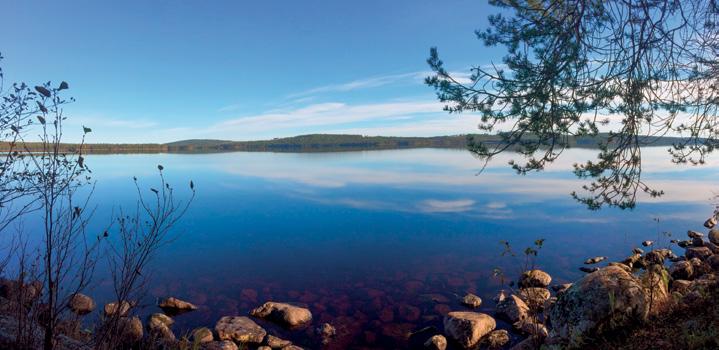 Luontounelmien taulu Luontounelmien taulu on tapa kuvata ja tuoda näkyville omia unelmia ja toiveita. Auttaa osallistujaa jäsentämään ja konkretisoimaan luontoon liittyviä toiveitaan ja unelmiaan.