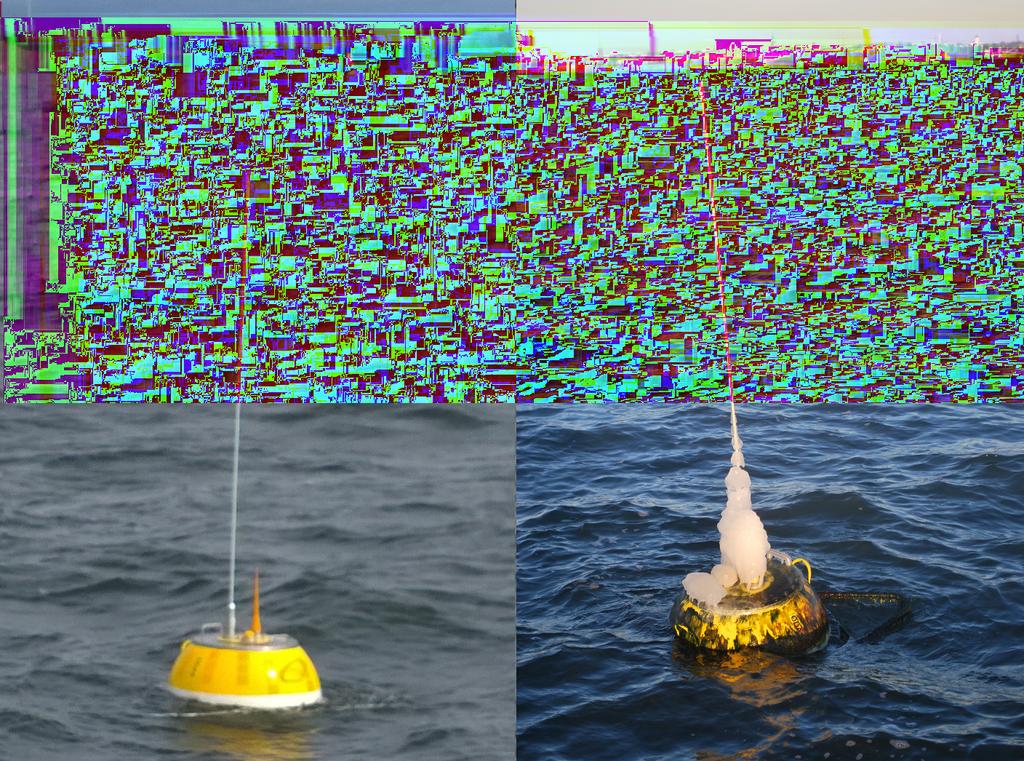 Kuva 1: Aaltopoiju Buli Suomenlinnan edustalla ankkuroinnin jälkeen (vasen) ja juuri ennen nostamista (oikea). Kuvat: Ilkka Vähäaho ja Tuomo Roine.