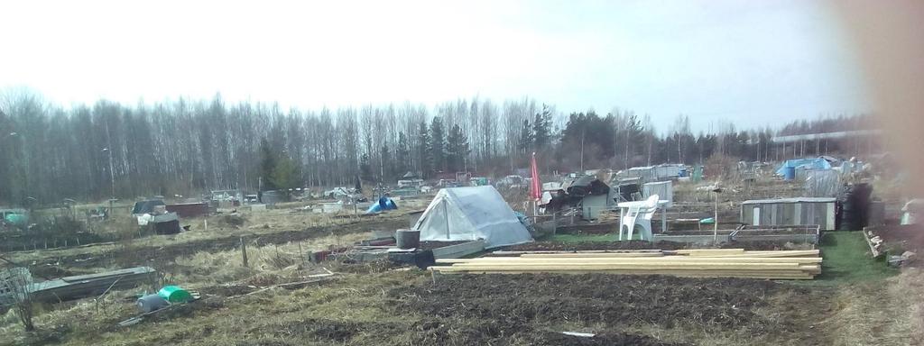 Kasvimaa Kasvimaalla naapuripalstan ryssät ovat tuoneet lautakuorman.