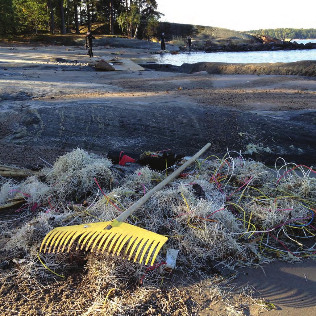 Roskapostia kansalaisen tietokirja meren roskaantumisesta