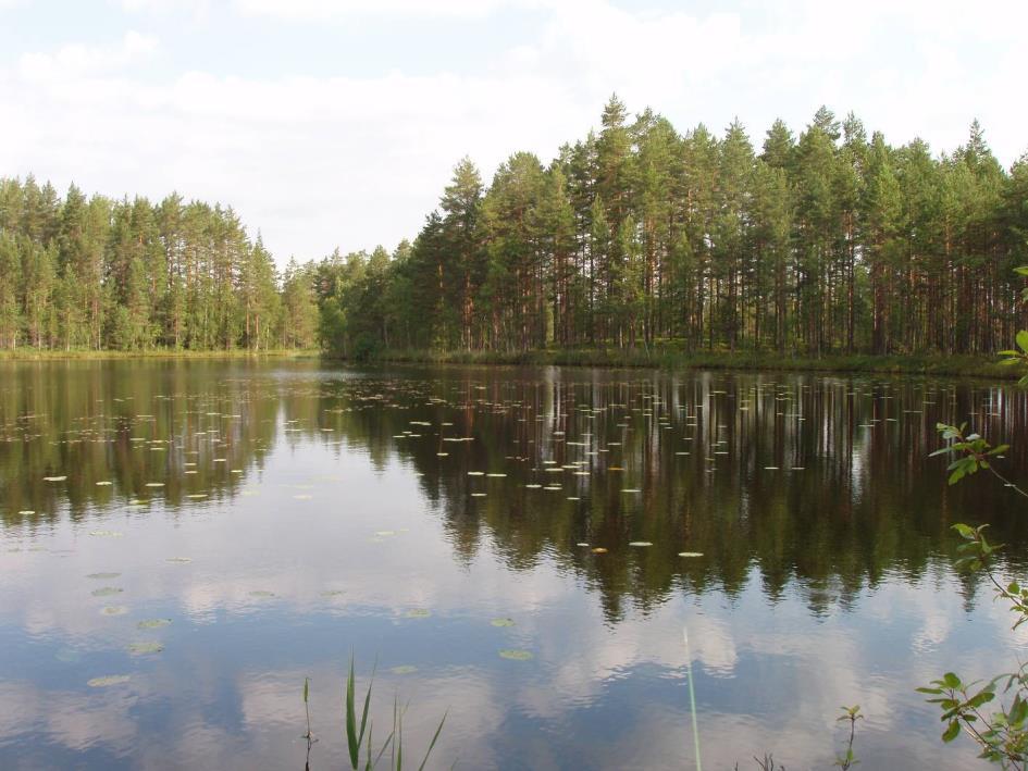 FCG SUUNNITTELU JA TEKNIIKKA OY Kaavaselostus 8 (24) 3.2 Vesiluonto Kuva 6. Öistinlampi. Vesistöjä, vesistöalueita ja pohjavesialueita koskevia tietoja on saatu mm.