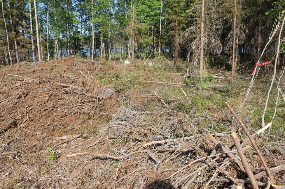 FCG SUUNNITTELU JA TEKNIIKKA OY Kaavaselostus 13 (24) saa muuttaa niin, että luontotyypin ominaispiirteiden säilyminen alueella vaarantuu (LSL 29.1 ).