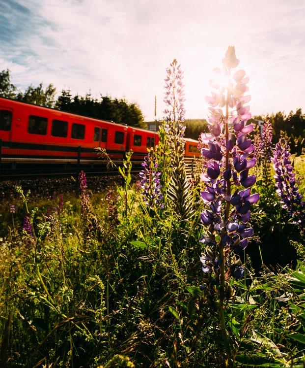 10 Helsinki on erinomainen kaupunki opiskella ja tehdä tiedettä. Korkeakouluopiskelijat ovat tärkeä osa tulevaisuuden Helsingin vetovoimaisuutta ja elinvoimaisuutta.