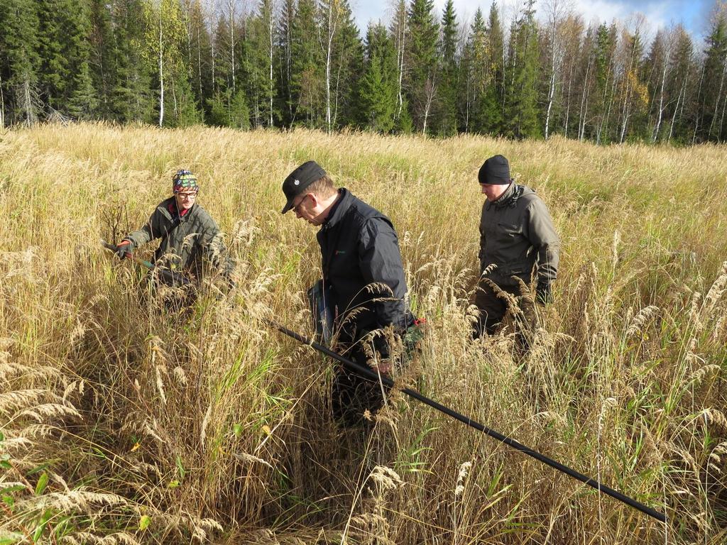 Taustaa Korpien luontainen taimettumisherkkyys on tunnettu