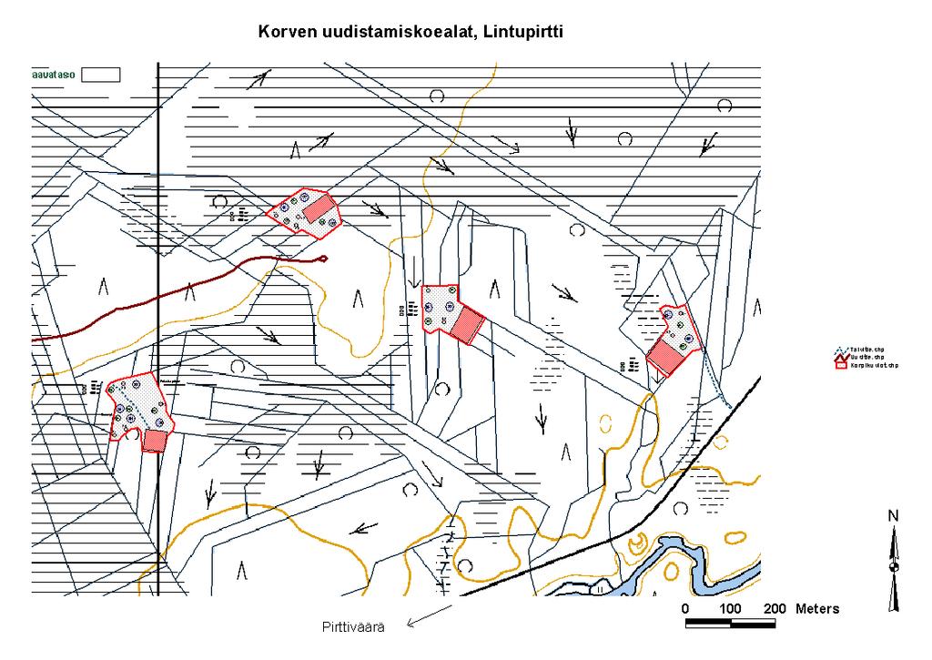 Lintupirtti Taimien
