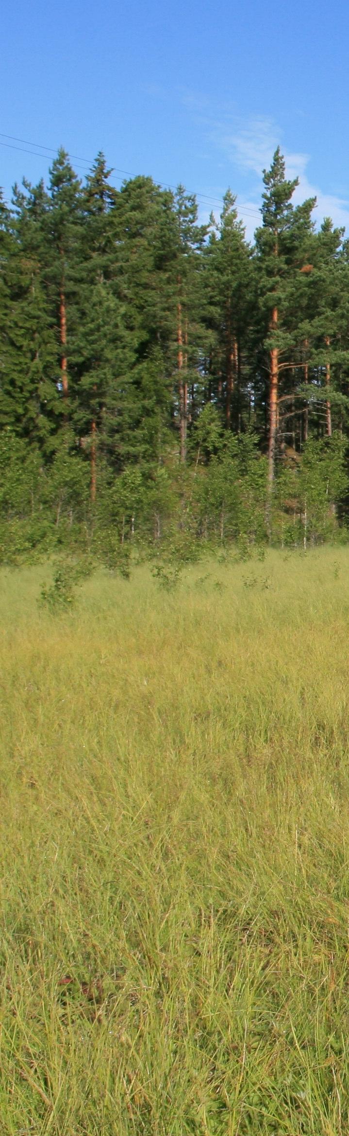 Satu Kilpinen EIMI -indikaattorijärjestelmän käyttö tiehankkeiden ympäristövaikutusten arvioinnissa Tapaus Kaarinan läntinen ohikulkutie Tiehallinnon selvityksiä 24/2008 Virkistysmahdollisuudet