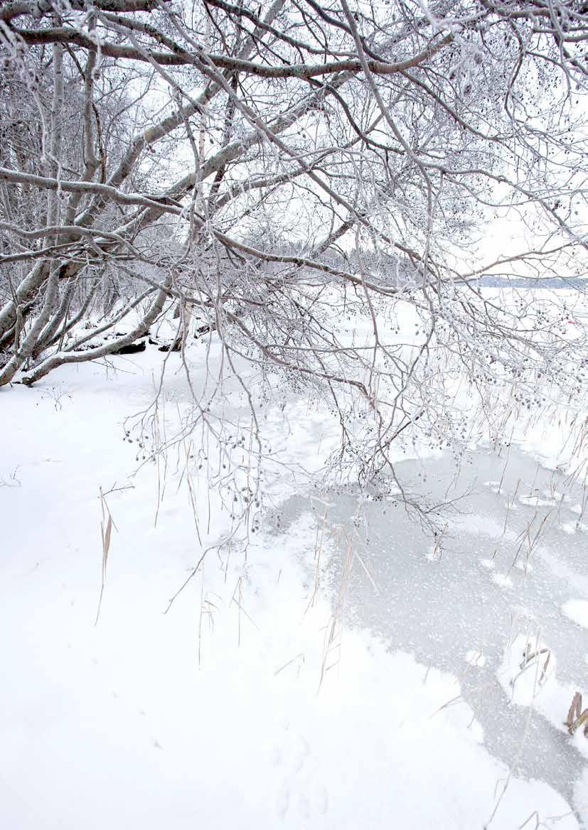 Kuva 95. Valkjärvi jäätyi jouluyönä 214. Se saa olla nyt hetken rauhassa.
