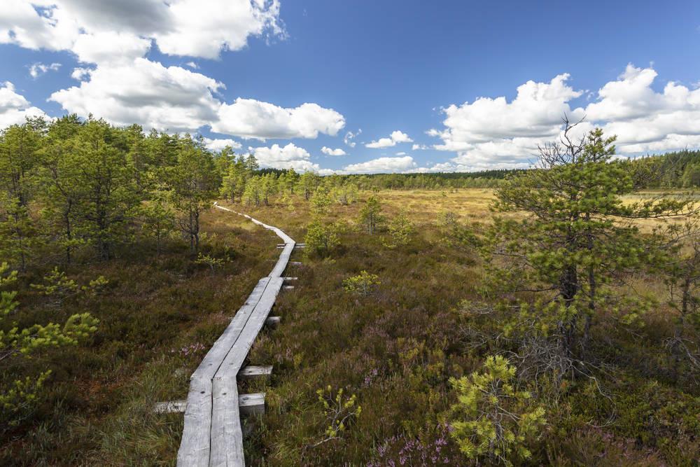 Ajankohtaista Valmistellaan matkailukokonaisuutta hallituksen puolivälitarkasteluun Matkailun yhteistyöryhmän työ käynnissä Löydä Suomesi