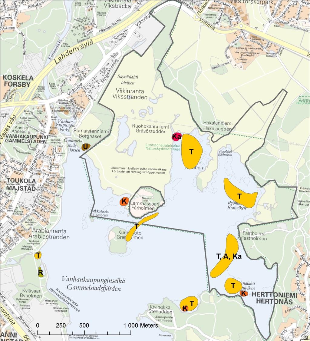 Kuva 292. Eräiden vesikasvien pääasiallisia kasvupaikkoja Vanhankaupunginlahdella vuonna 212.