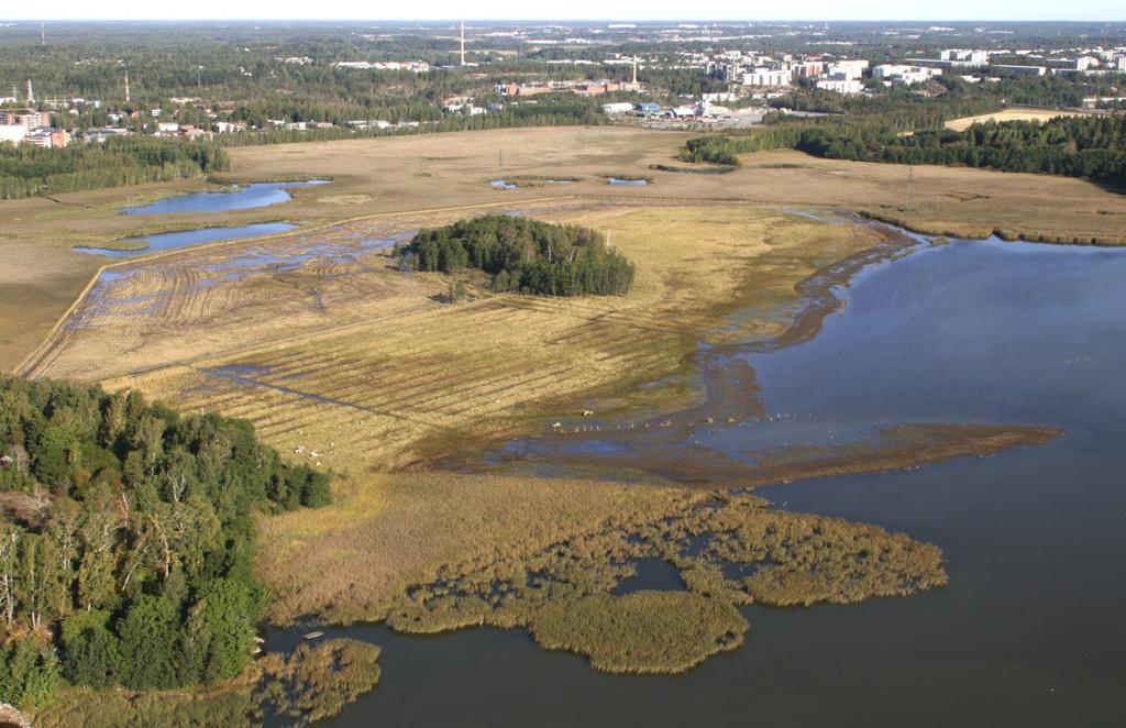 Ruohokarin niitty syksyllä 26. Kuva: Tero Taponen. 5.1.4 Niittyalueiden pesimälinnusto Ruohokarin hoitoniityn (H1, ks. kuva 1) pesimälinnusto vuosina 1993 212 on esitetty liitteessä 4.