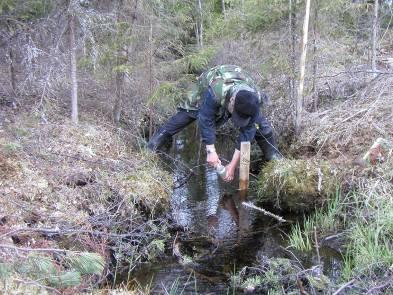 Metsätalouden kuormituksen