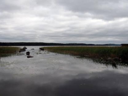 11 Kuva 2.2 Leppäveden rehevää rantaa. 2.1.2 Rakennettu ympäristö Suunnittelualueella on noin 190 asuinrakennusta, joista lähes puolet on rakennettu vuoden 1989 jälkeen.