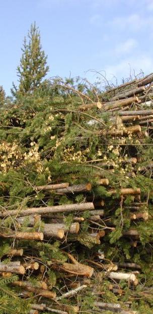 Biomassamarkkinan toimintaa tehostettava Tasapuoliset kilpailuedellytykset, ei poliittista puuttumista markkinoihin. Biomassan energiakäytön ja teollisen käytön välillä ei ristiriitaa.