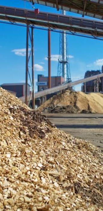 Biomassan kestävyys Fortumin näkemys Yhtenäiset ja sitovat, bioenergian alkuperään kohdistuvat kriteerit olomuodosta tai käyttötarkoituksesta riippumatta.