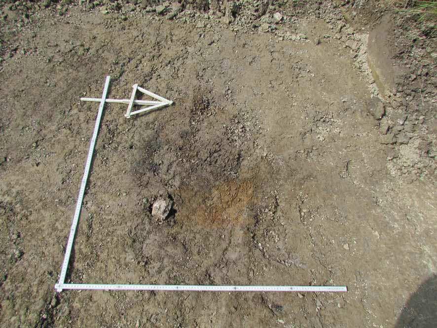 savea. Hiilijäljen keskellä oli pieni, halkaisijaltaan noin 5 cm oleva, rapautunut kivi. Kuva 18. Hiilijälki D.