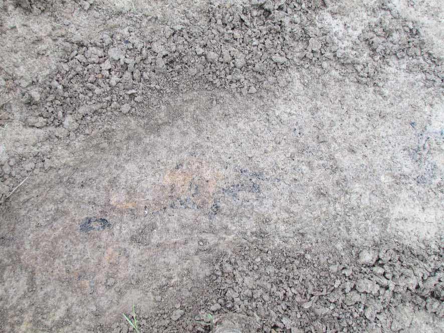 sisältävä muodostelma. Savimaa ilmiön kohdalta oli punertavaa.