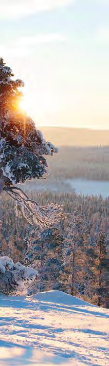 Ylläksen matkailualue Ladut, moottorikelkkareitit, lumikenkäreitit, pyöräreitit, vaellusreitit Ylläksen 7 tunturia Ylläksen