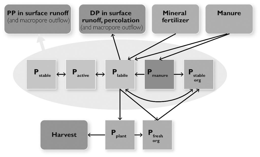 percolating through the soil profile. Losses of PP in surface runoff and macropore flow are linked to soil erosion, which are calculated with the USLE model modified according to Foster (1982).