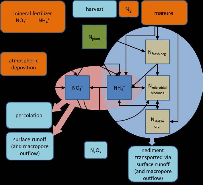 i.e. the rates are constant, but the conditions (temperature, flow, light ) change therefore the processes vary accordingly.