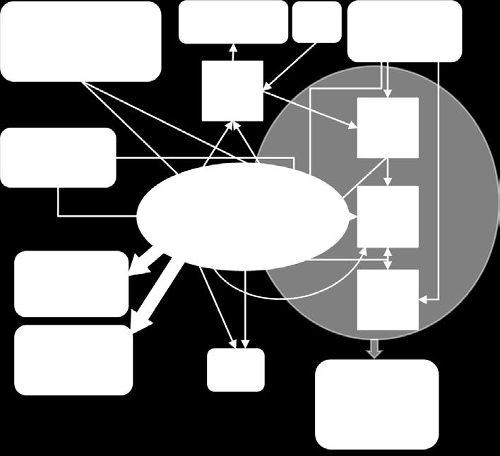 RIVE was developed by Billen et al. (1994) and is used in the RIVERSTRAHLER (Garnier et al. 1995) and SENEQUE (Ruelland et al., 2007) models.